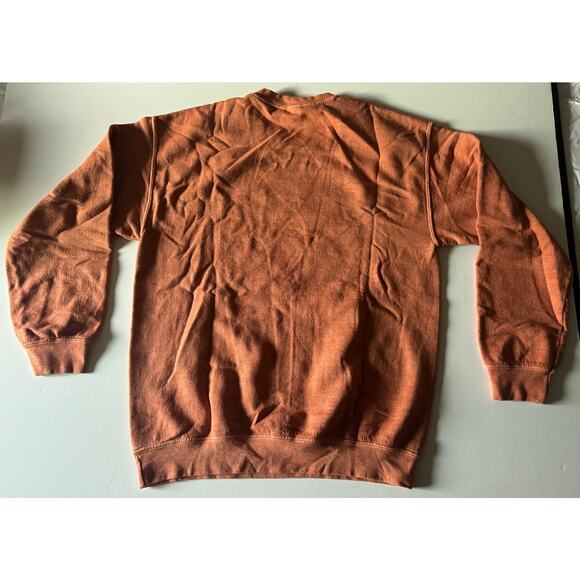 NWOT Foo Fighters Crawling Tigers Orange Sweatshirt - Picture 3 of 4